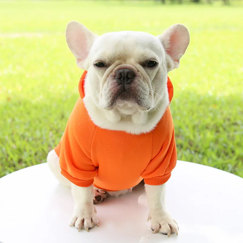 Cozy Companion Hoodie