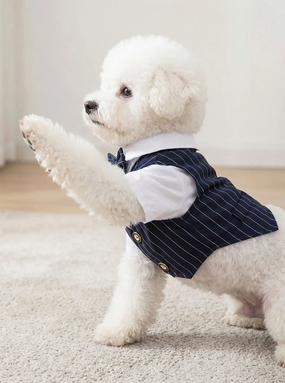 Dapper Paws Dress Shirt & Vest
