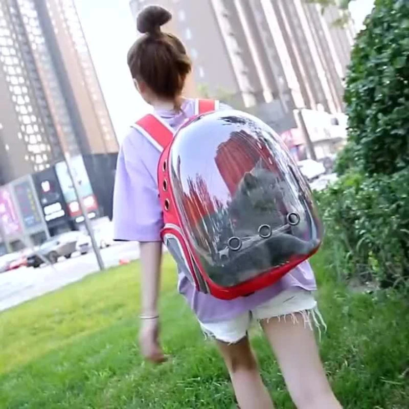 PurrView Adventure Backpack