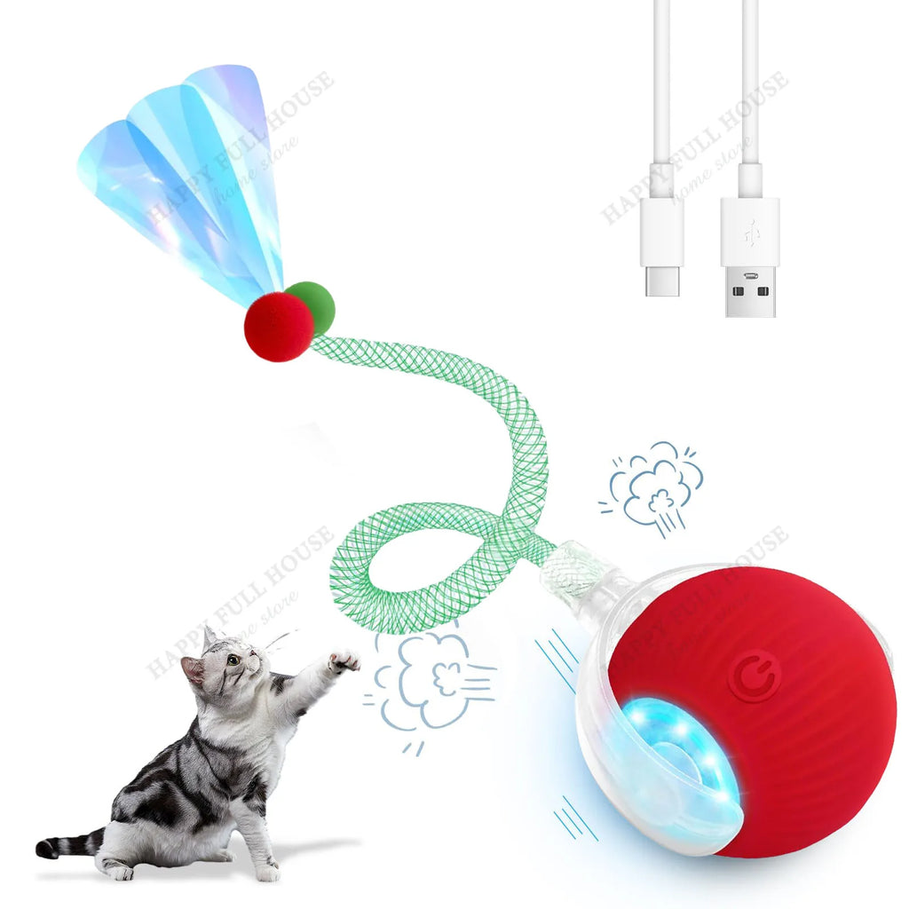 Zoomie Ball Interactive Toy