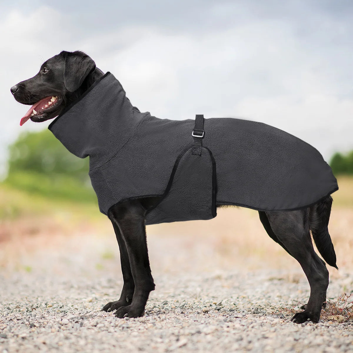 All-Season Adventure Vest