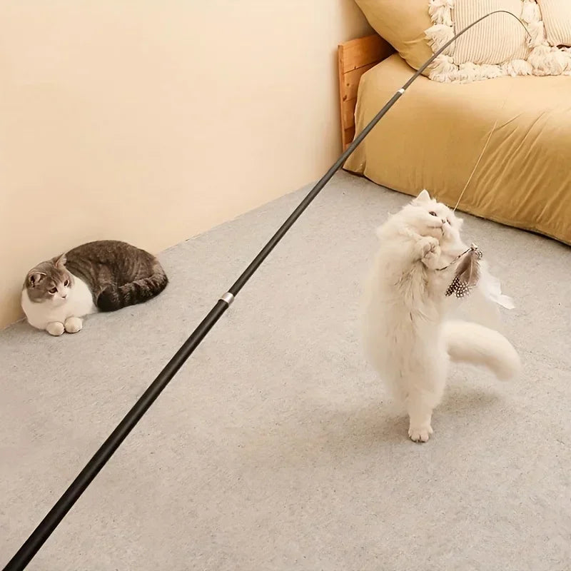 Whisker Wand Cat Teaser