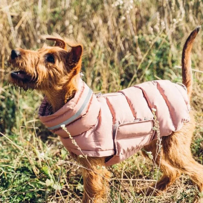 Snow Day Puffer Vest