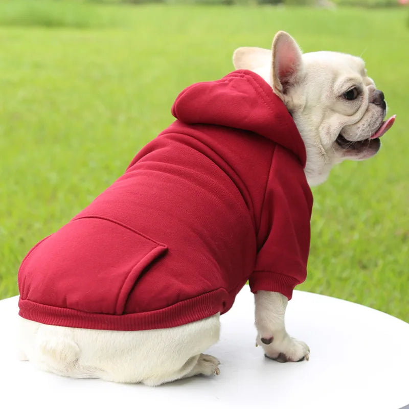 Cozy Companion Hoodie