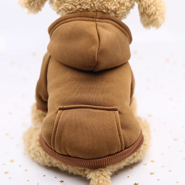 Cozy Companion Hoodie