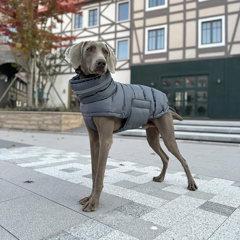 Snow Day Puffer Vest