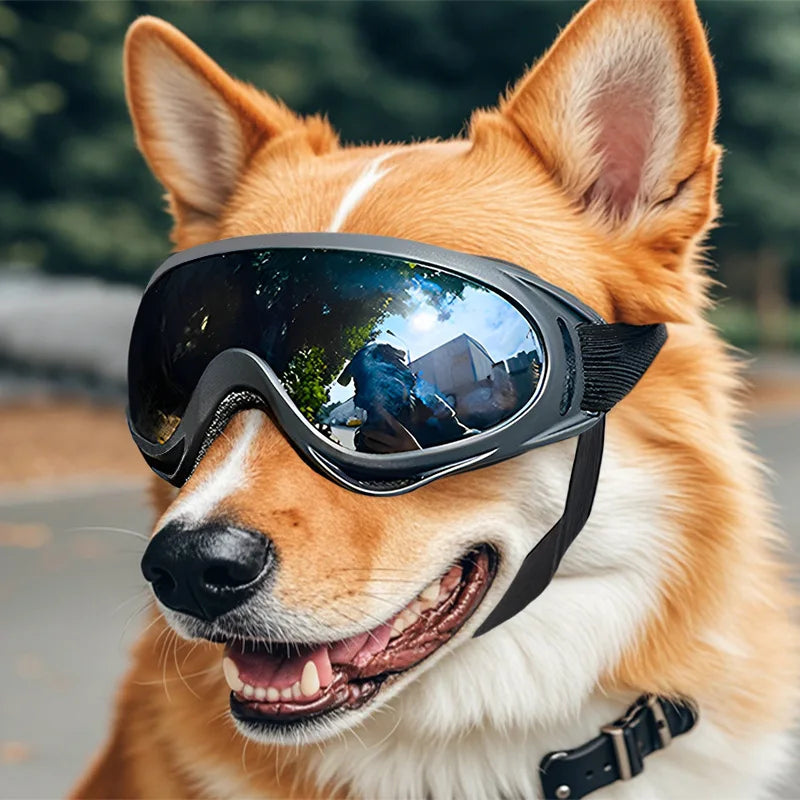 Pawshades™ Adventure Goggles