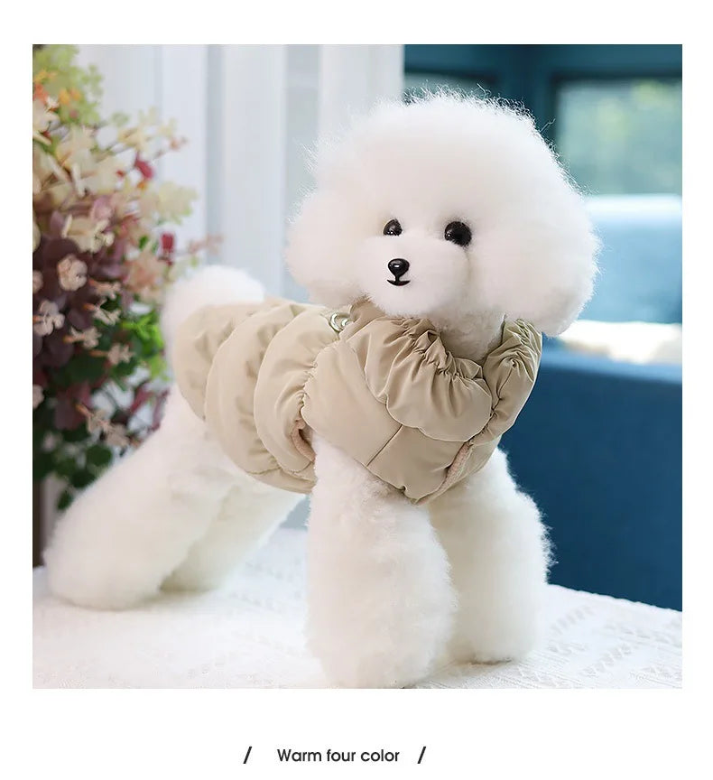 Pawfect Weather Coat