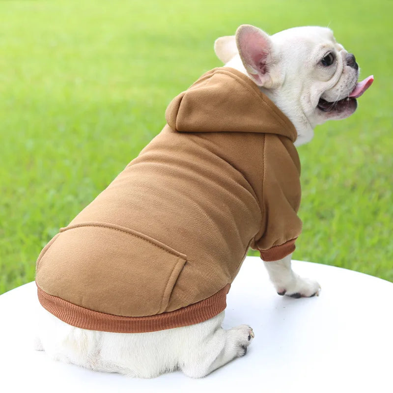 Cozy Companion Hoodie
