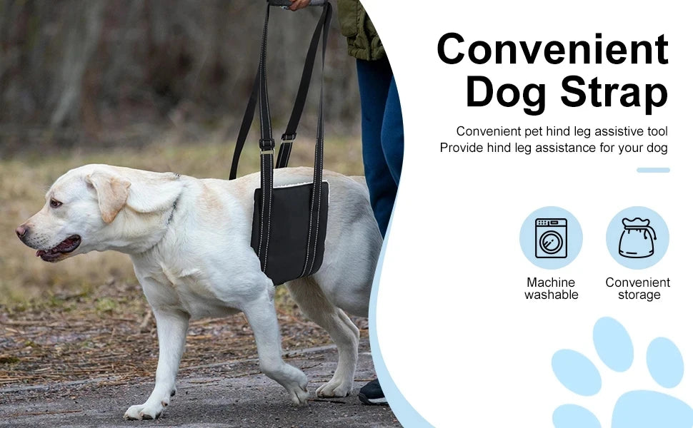 PawLift Mobility Support Sling
