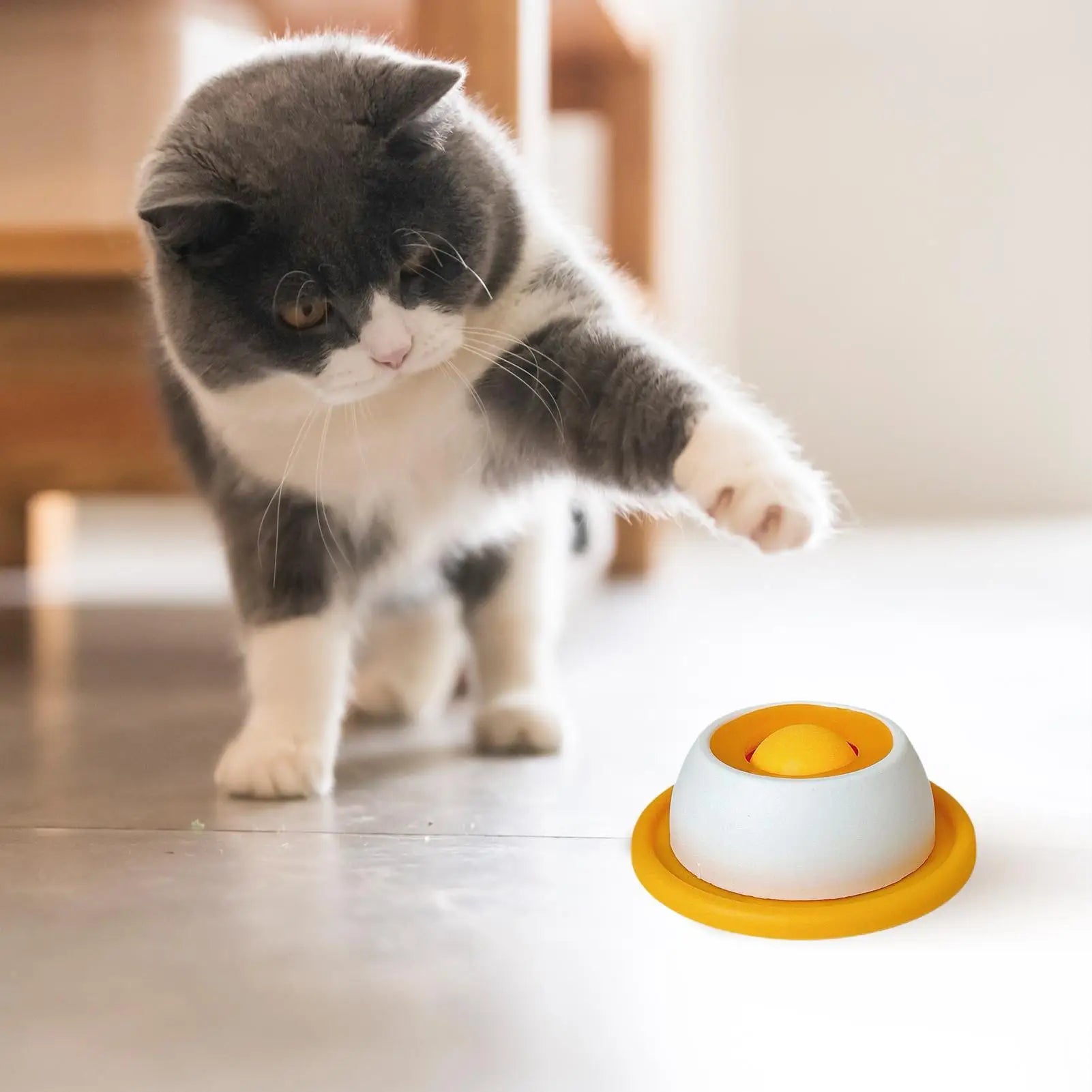 Snack Quest Puzzle Feeder