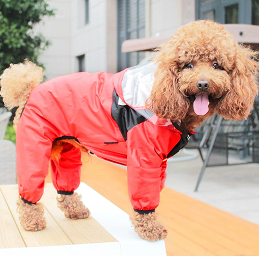 Rainy Day Adventure Coat