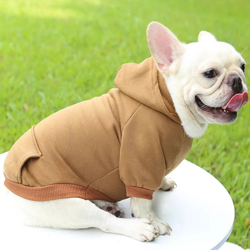 Cozy Companion Hoodie