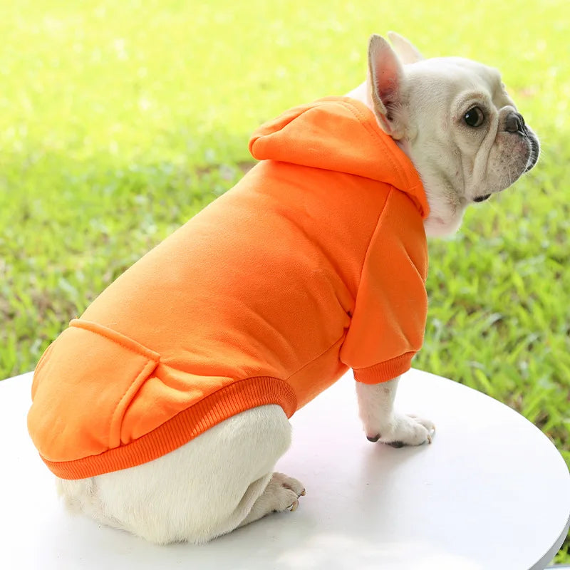 Cozy Companion Hoodie