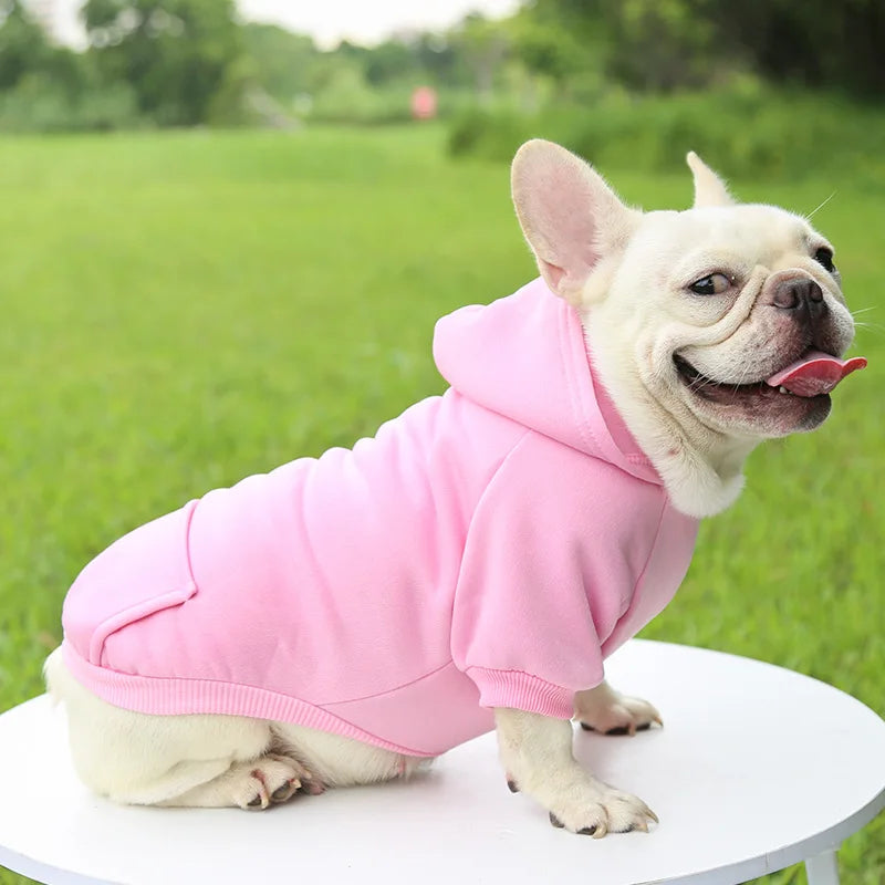 Cozy Companion Hoodie