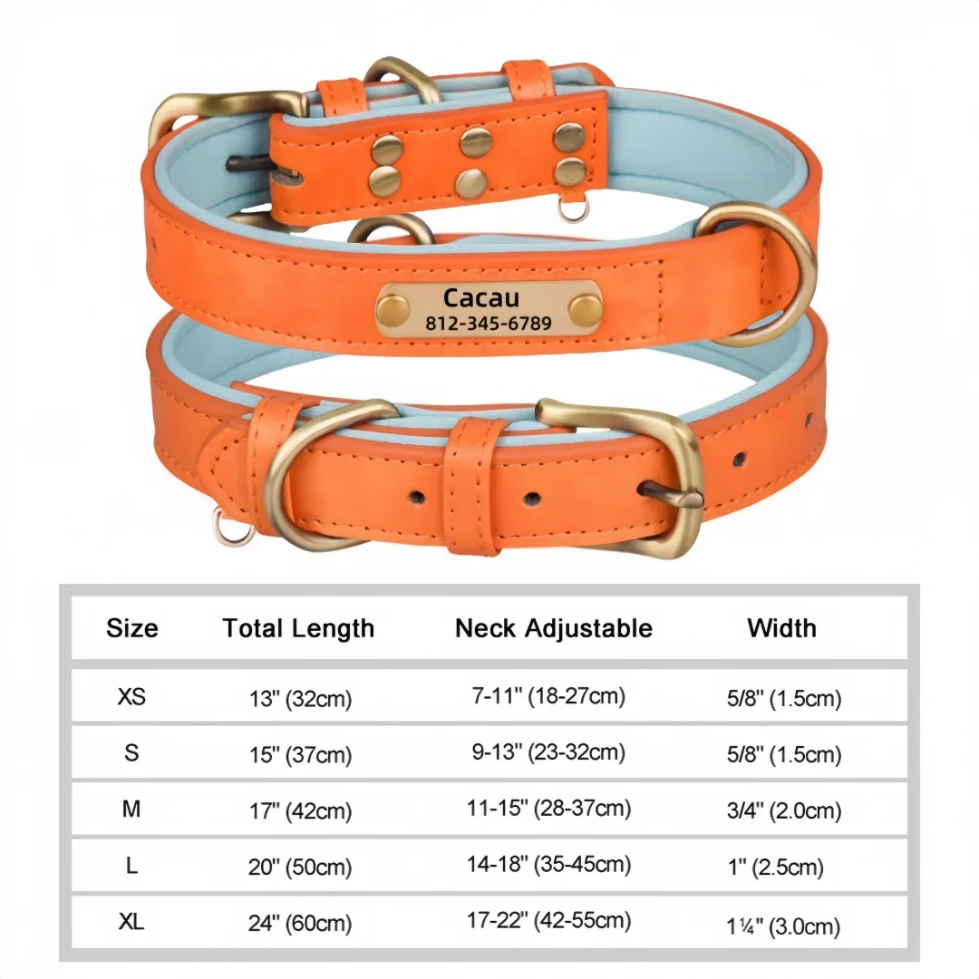 🐾 Forever Home Personalized Collar