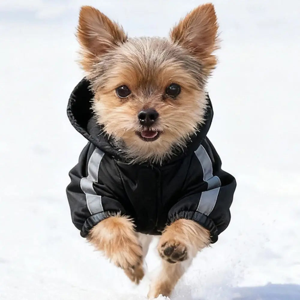 Toasty Tails Hooded Jacket