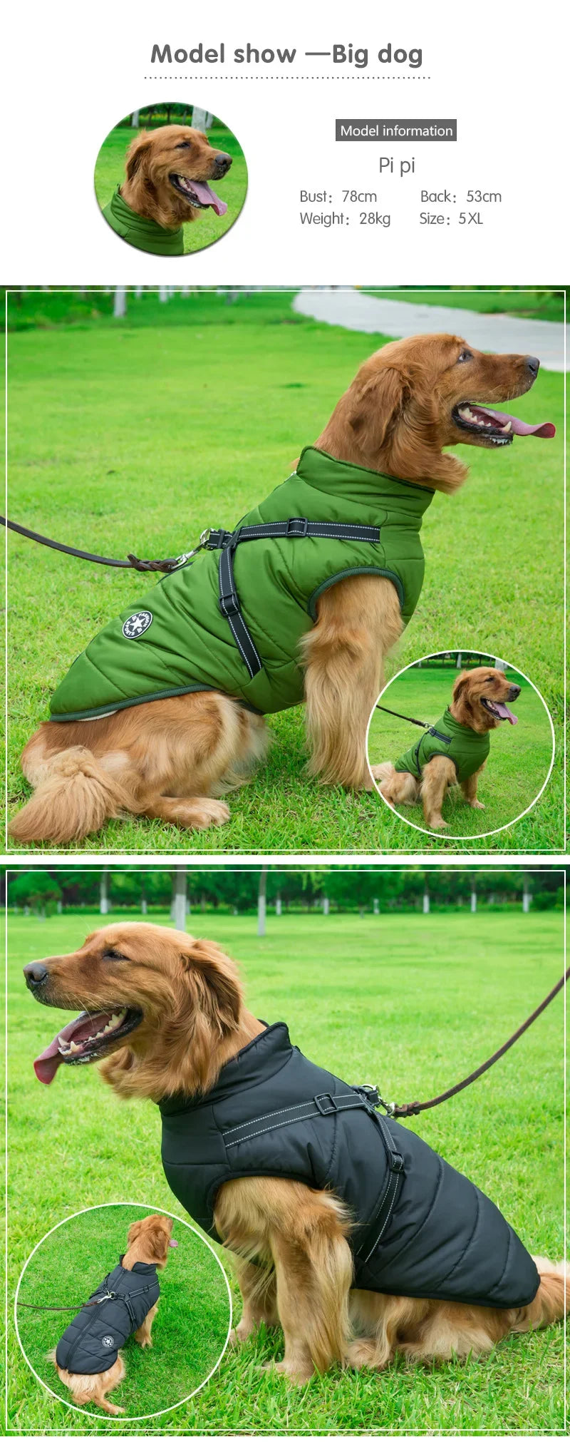 Adventure Armor Harness Coat