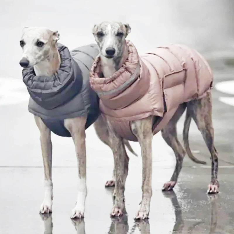 Snow Day Puffer Vest