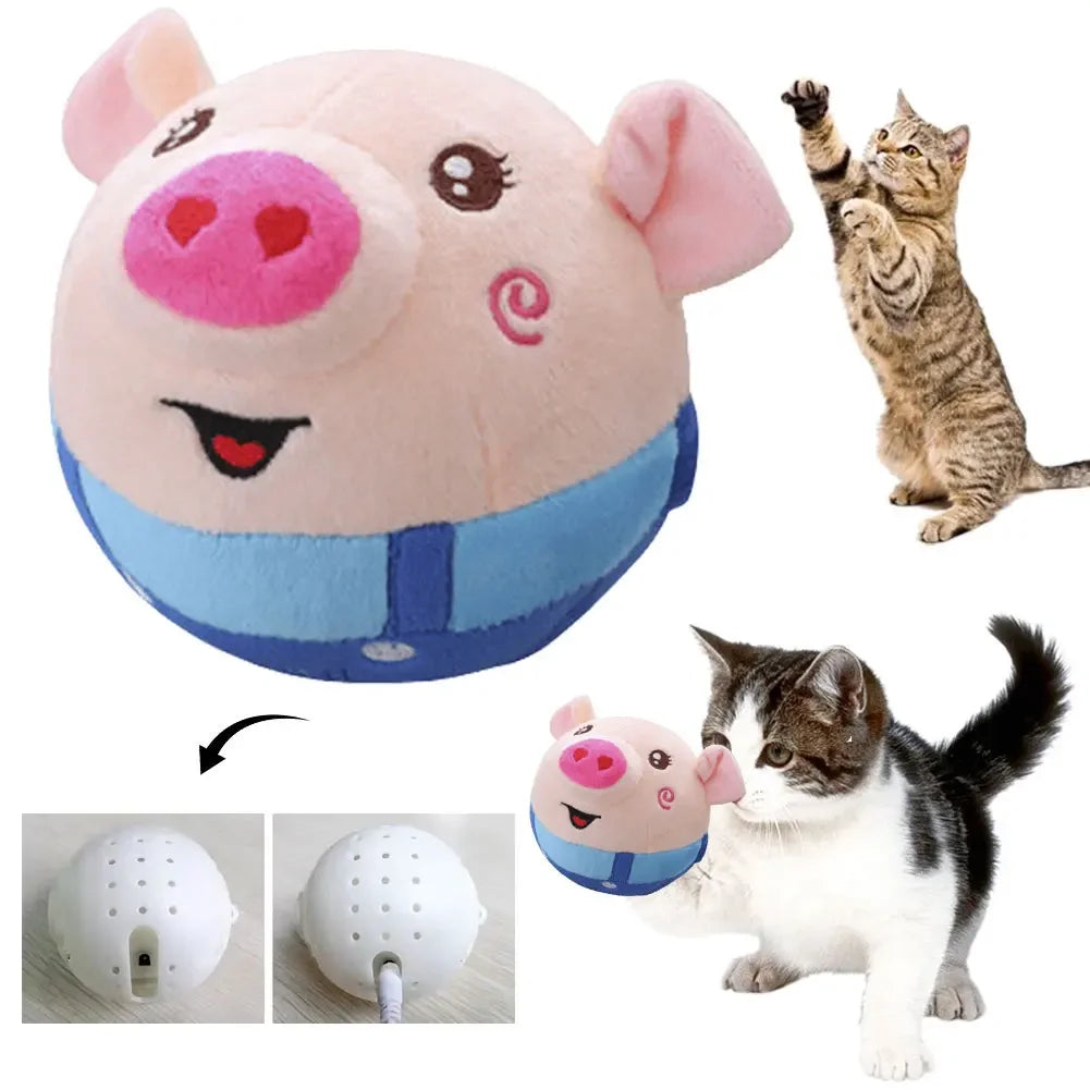 Bounce Buddy Motion Ball