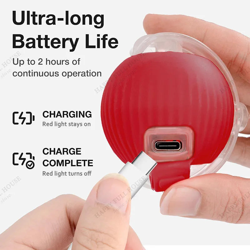 Zoomie Ball Interactive Toy