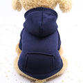 Cozy Companion Hoodie