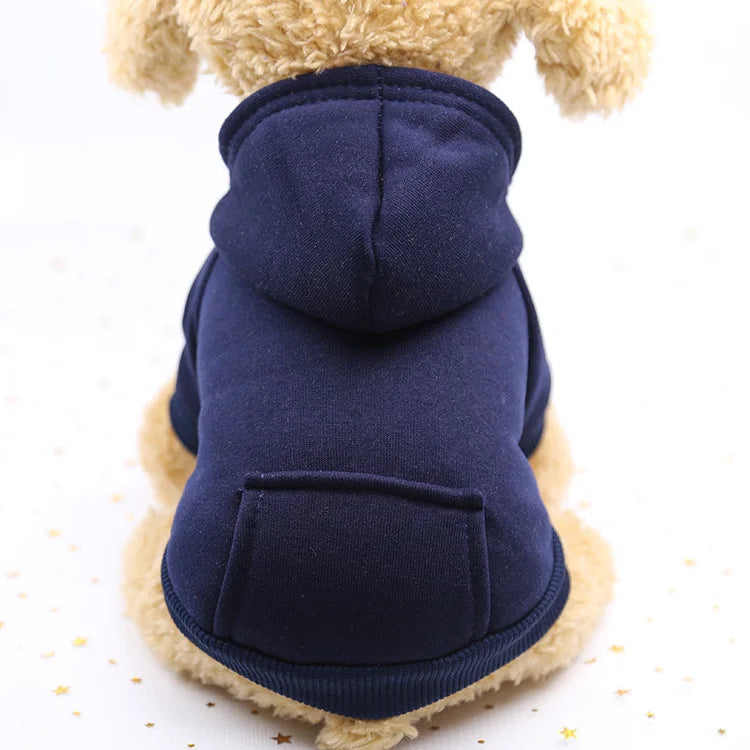 Cozy Companion Hoodie