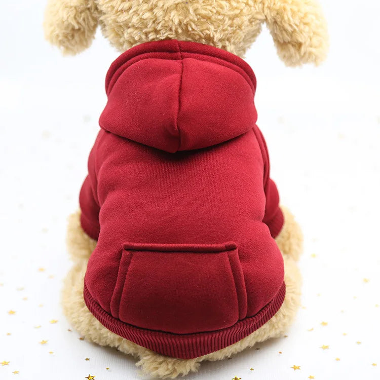 Cozy Companion Hoodie