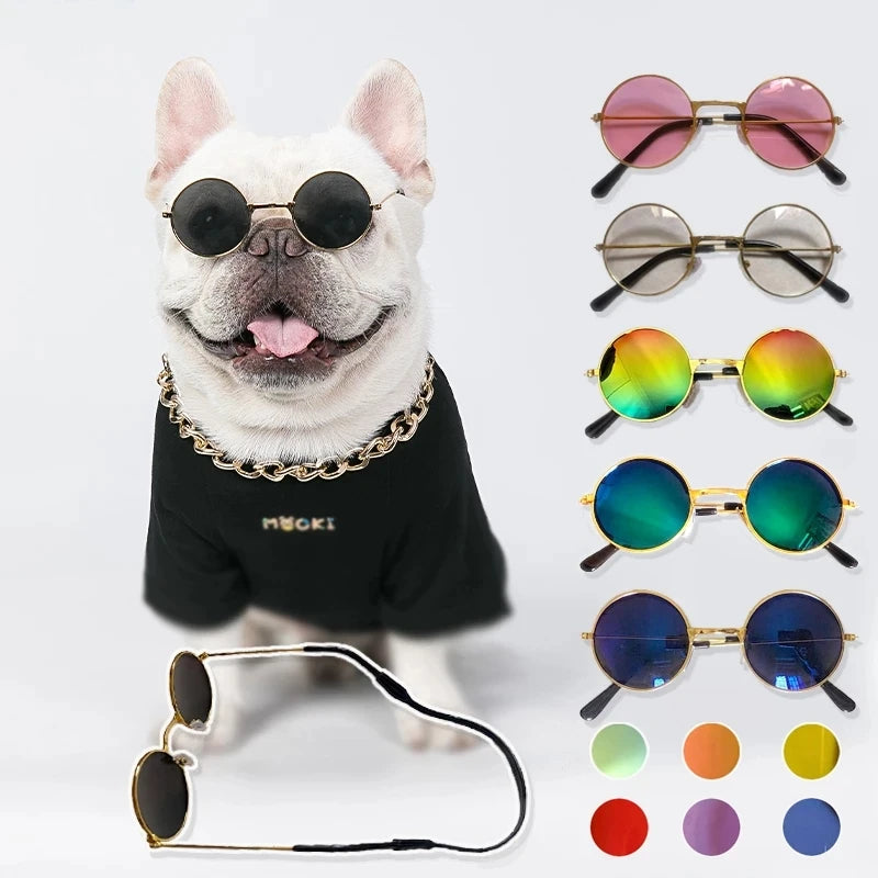 Retro Paws Sunglasses