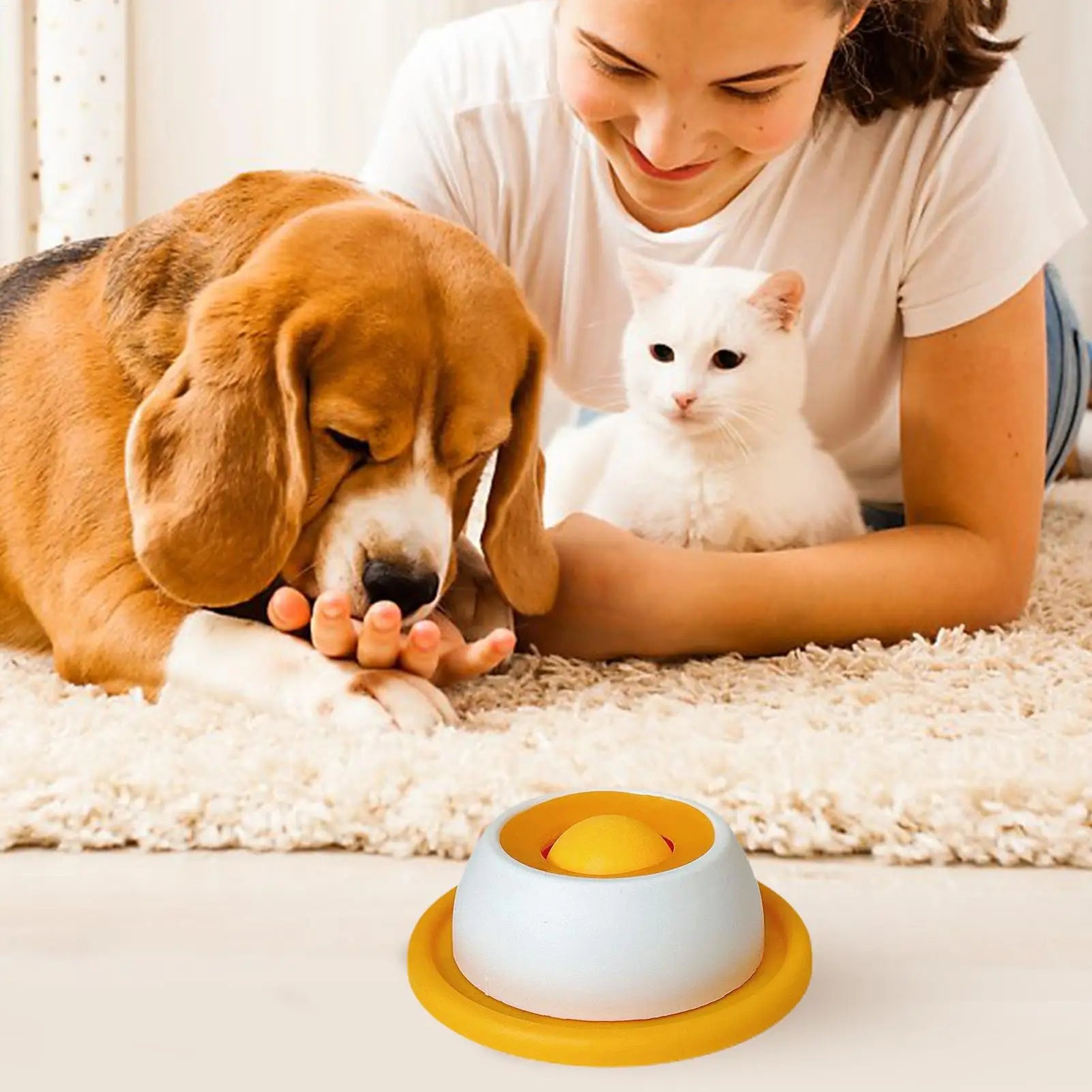 Snack Quest Puzzle Feeder