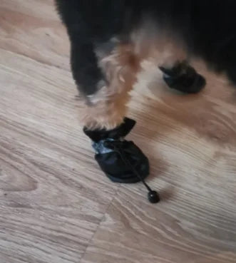 All-Weather Paw Protectors