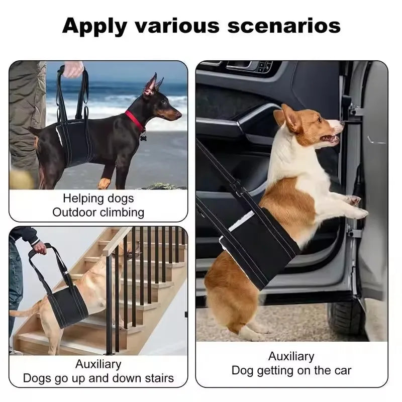 PawLift Mobility Support Sling