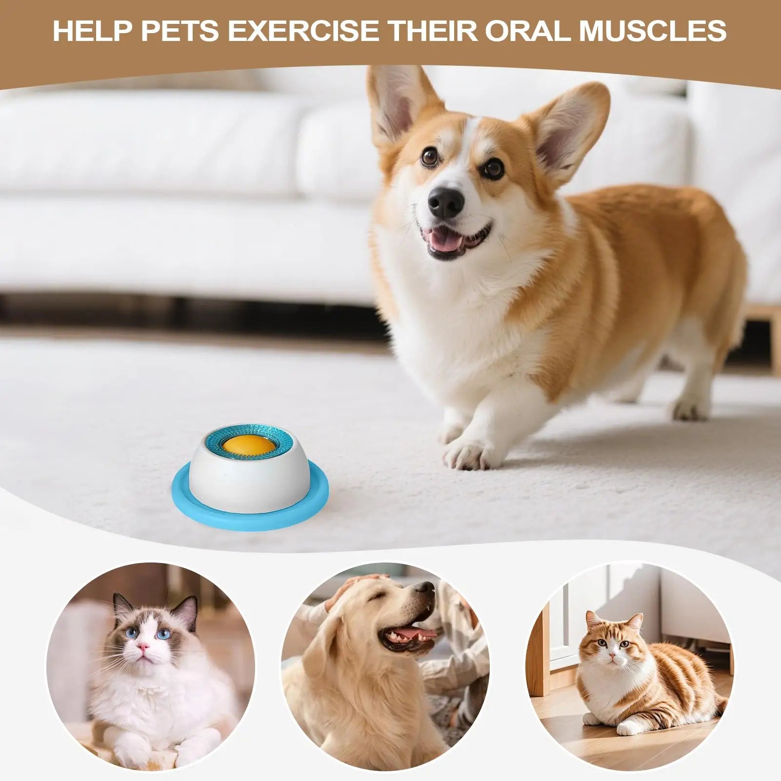 Snack Quest Puzzle Feeder