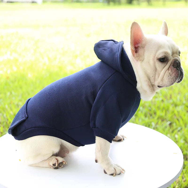 Cozy Companion Hoodie