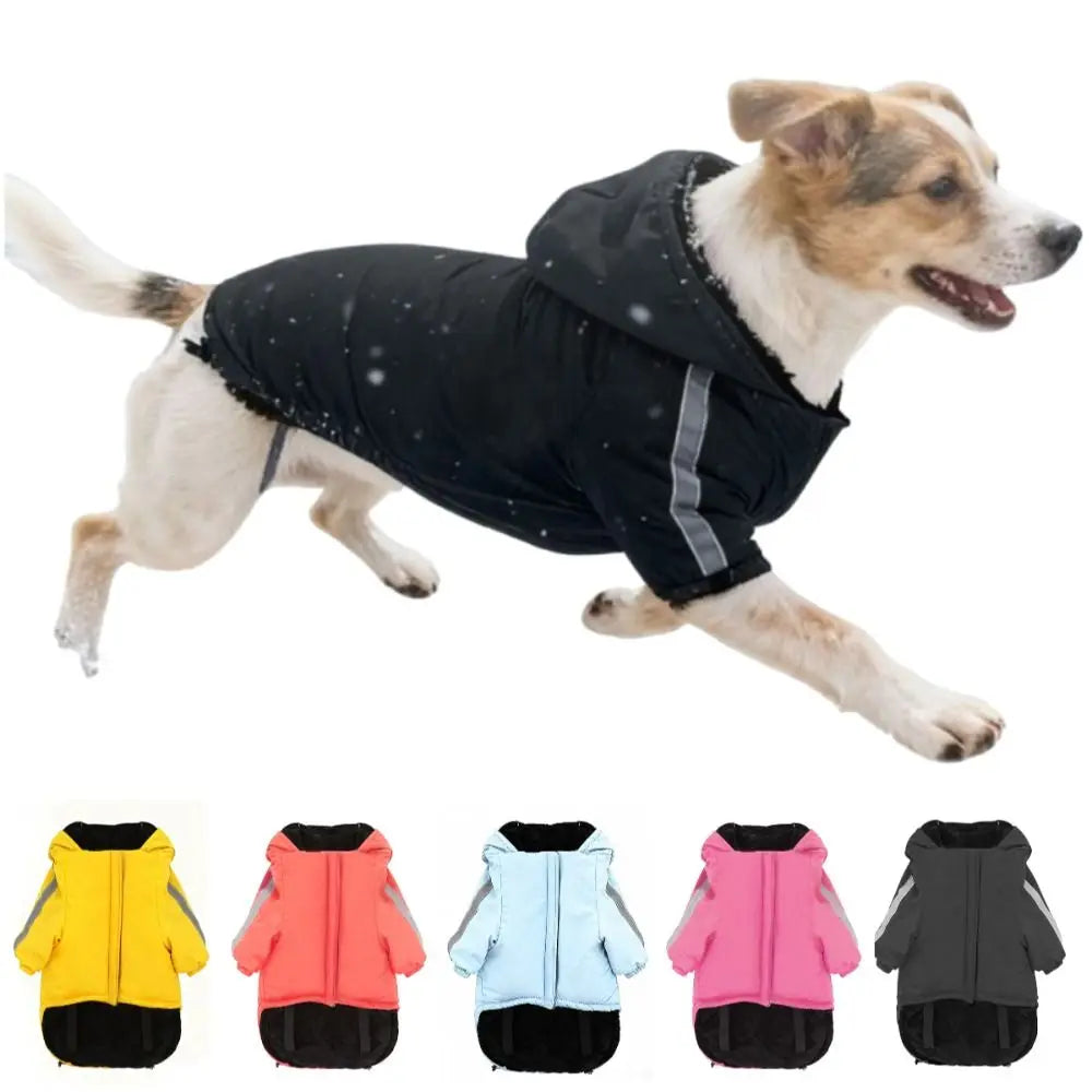 Toasty Tails Hooded Jacket