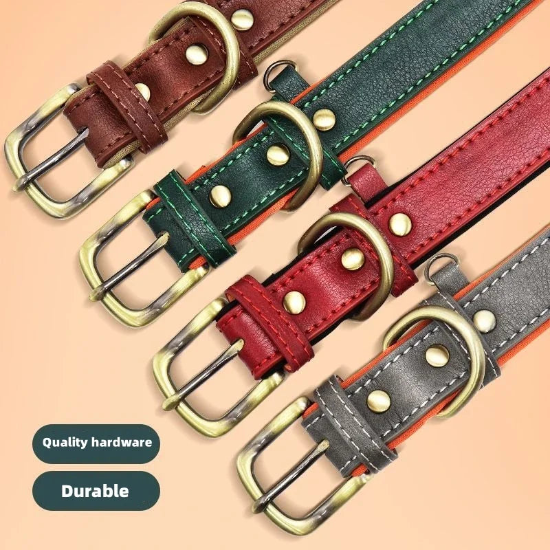 🐾 Forever Home Personalized Collar