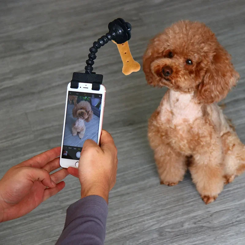Paws for the Camera™ Selfie Stick