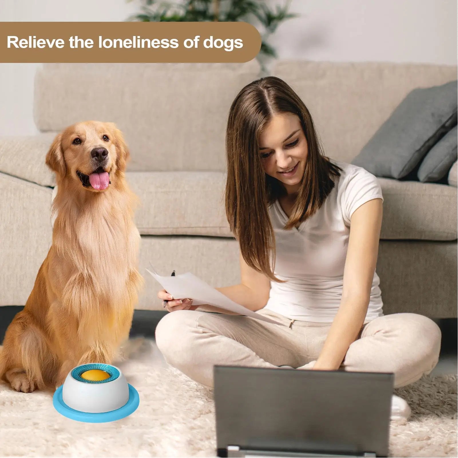 Snack Quest Puzzle Feeder