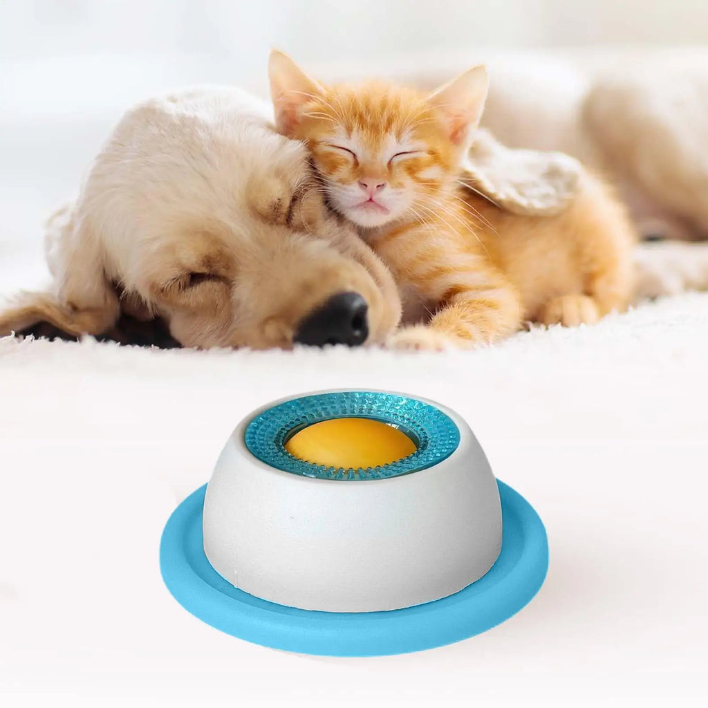 Snack Quest Puzzle Feeder