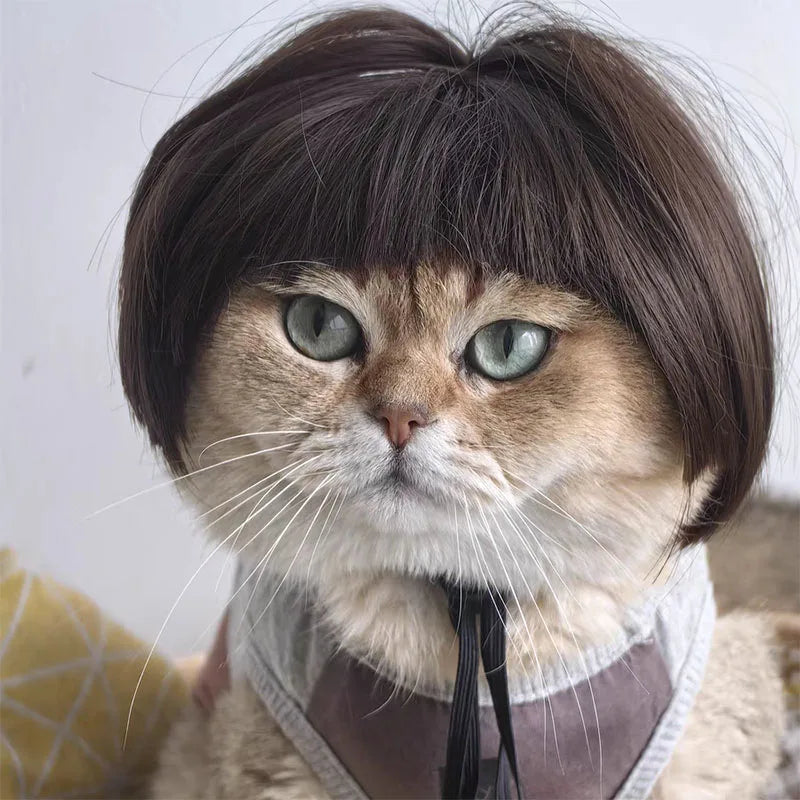 Paws & Giggles Wig Set