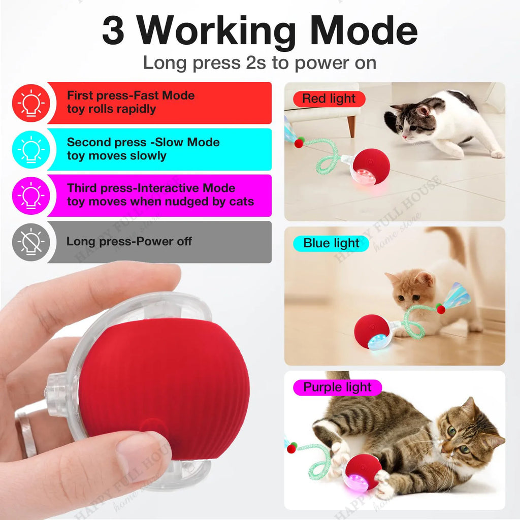 Zoomie Ball Interactive Toy