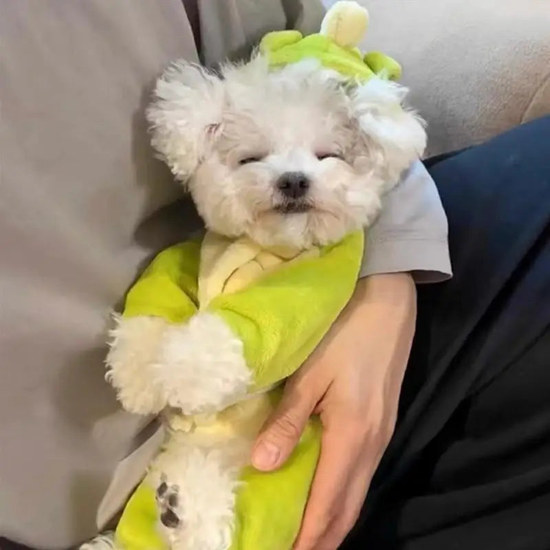 Dino Snuggle Jumpsuit