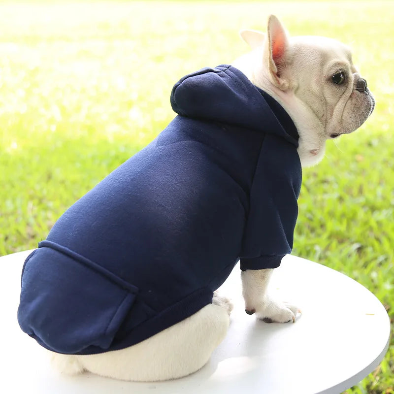 Cozy Companion Hoodie