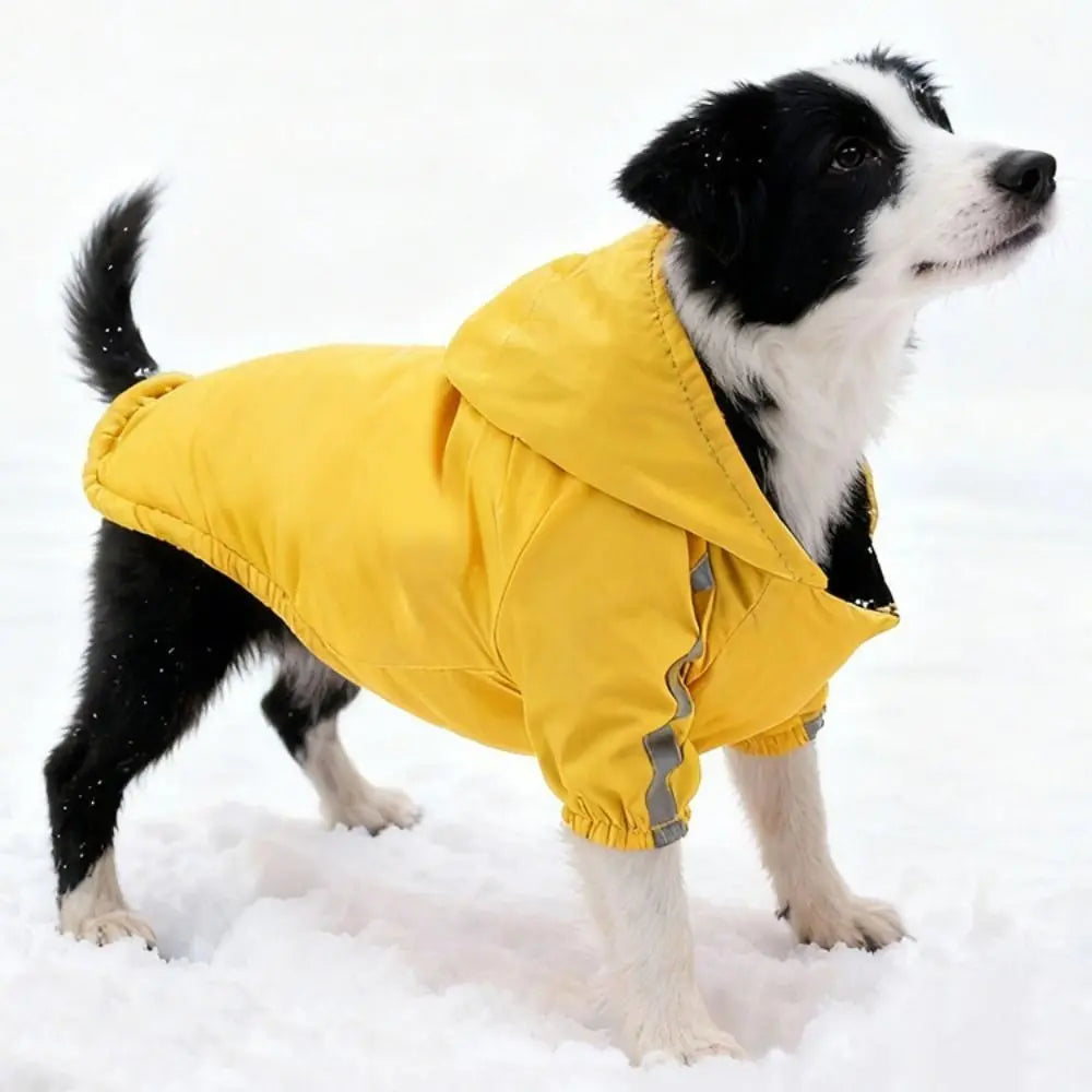 Toasty Tails Hooded Jacket