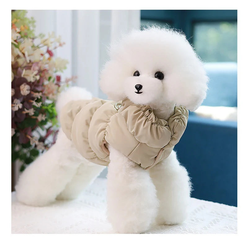 Pawfect Weather Coat
