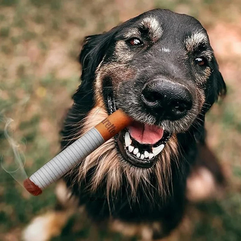 Puff-Free Fun Chew Toy