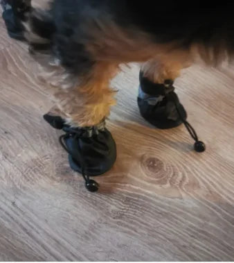 All-Weather Paw Protectors