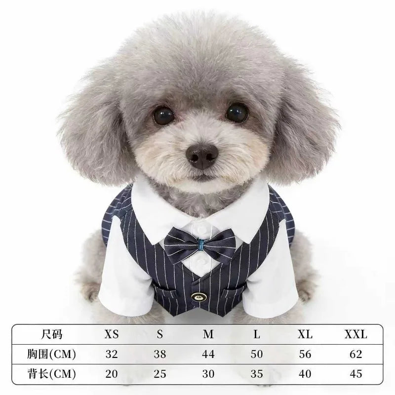 Dapper Paws Dress Shirt & Vest