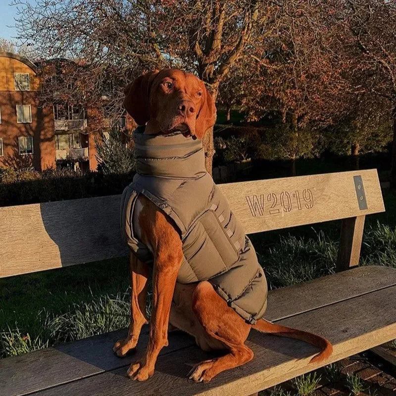 Snow Day Puffer Vest