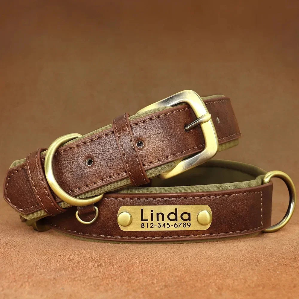 🐾 Forever Home Personalized Collar